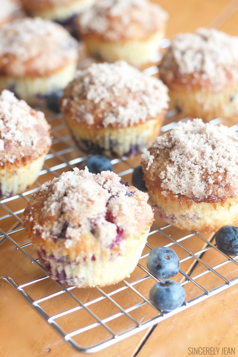 The Best Blueberry Streusel Muffins